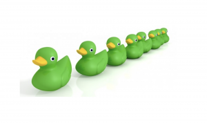 CJRS Amnesty – get your “ducks in a row”!